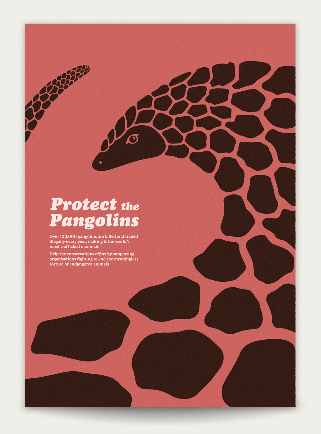 Pangolin